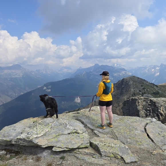 Meet your Posher, Freya - Picture 1 of 1